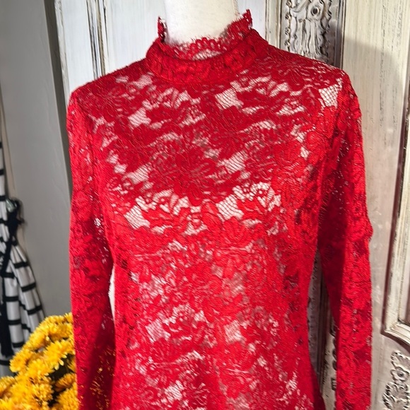 Elegant Red Lace Mini Dress - Picture 3 of 11